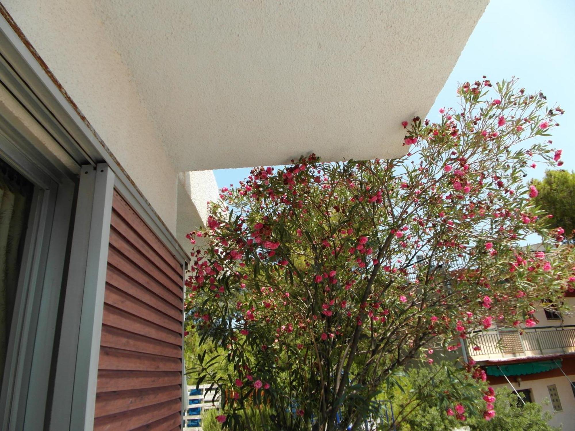 Eri Studios Agia Marina  Phòng bức ảnh